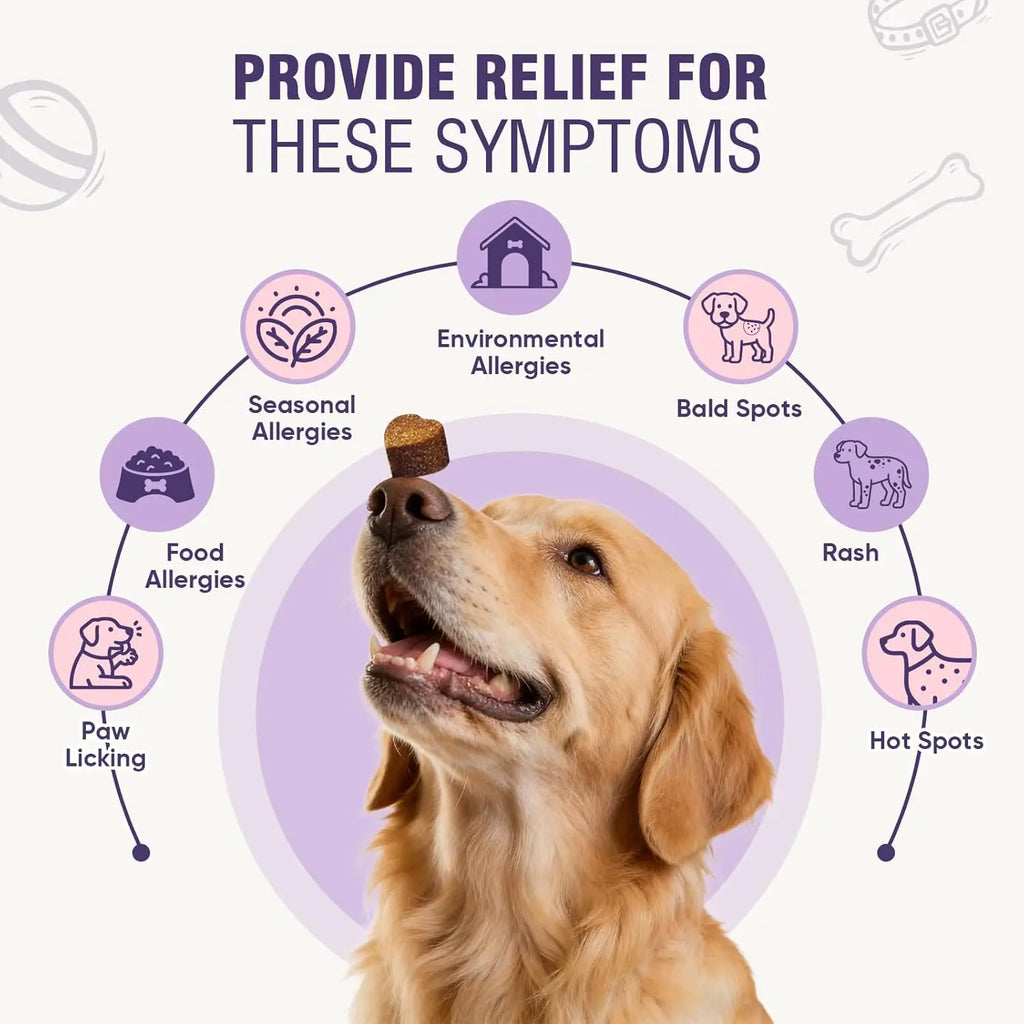 Dog Allergy Chews 200ct