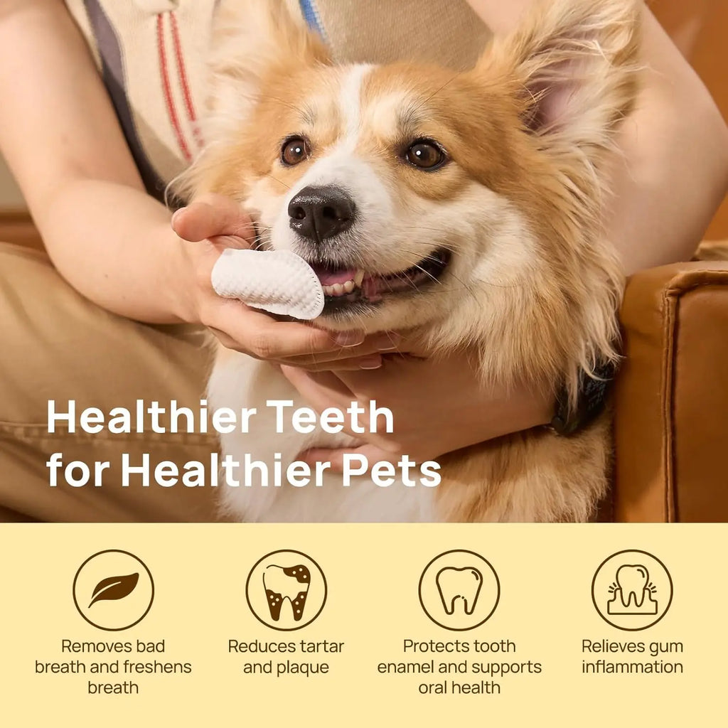 Fresh Breath Dental Wipes for Pets