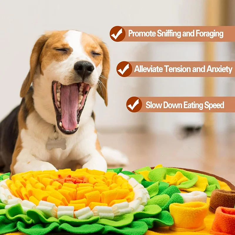 Interactive Dog Snuffle Mat – Slow Feeding & Treat Mat
