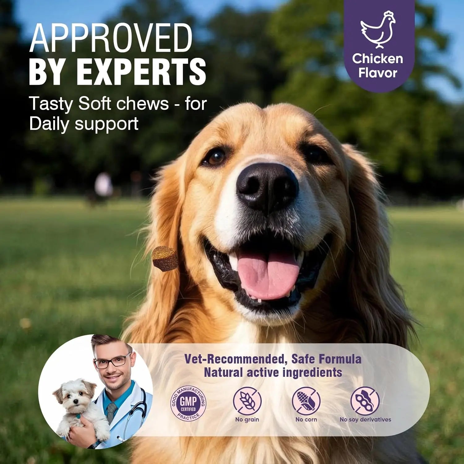 Dog Allergy Chews 200ct