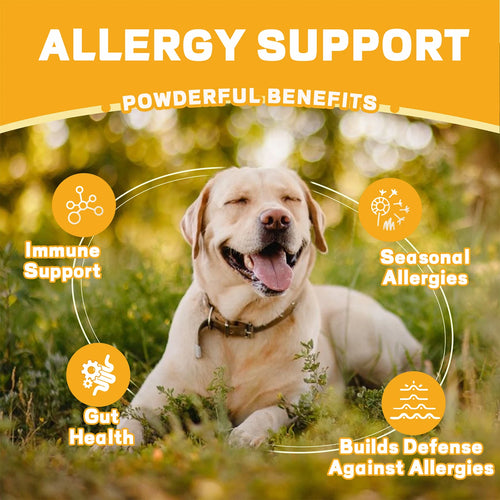 Dog Itch Relief Allergy Chews