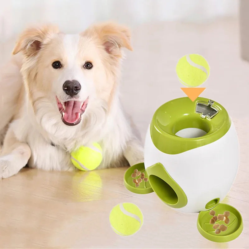 Automatic Dog Ball Launcher – Interactive Fetch Machine