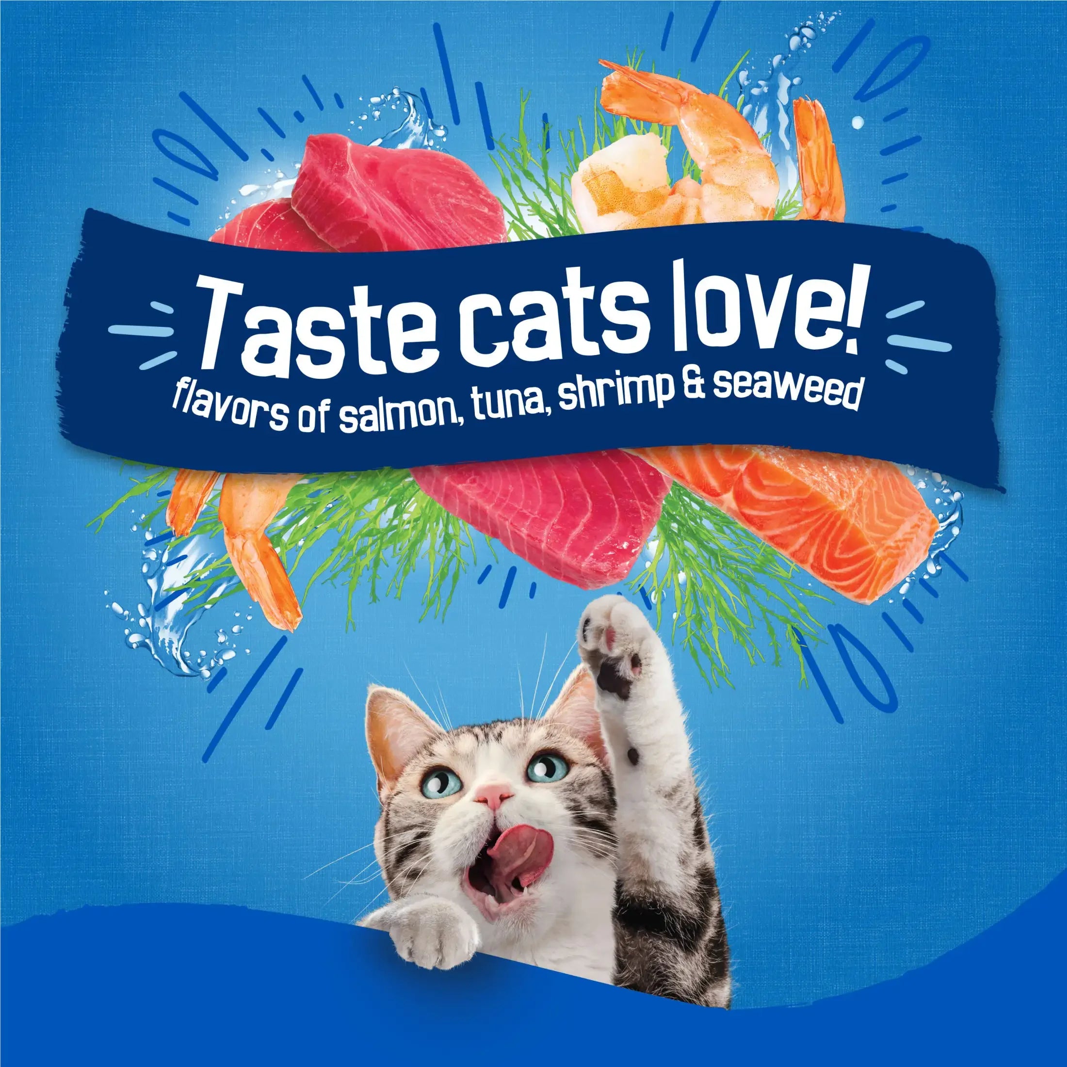 Purina Dry Cat Food Seafood Sensations With Salmon Tuna Shrimp Flavors 30 lb Bag