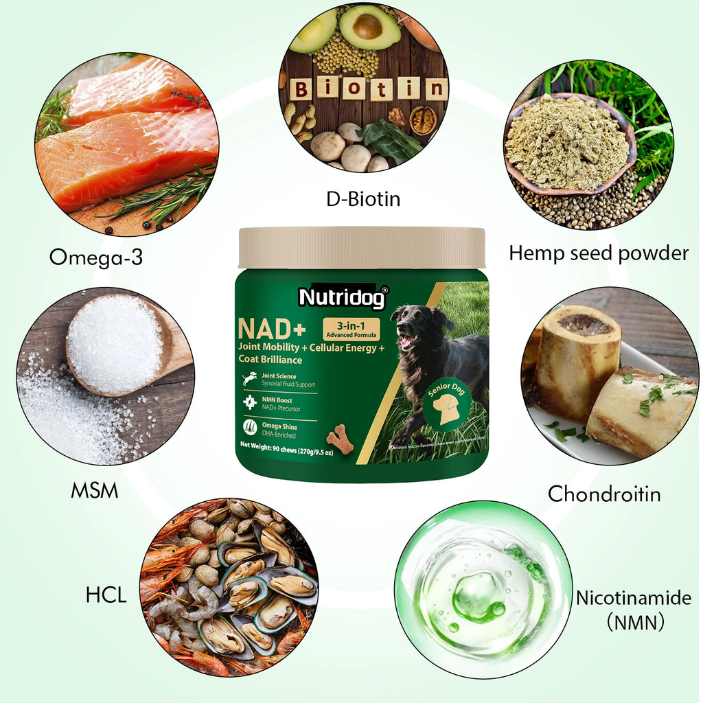 NUTRIDOG Dog Anti-Allergy Chews