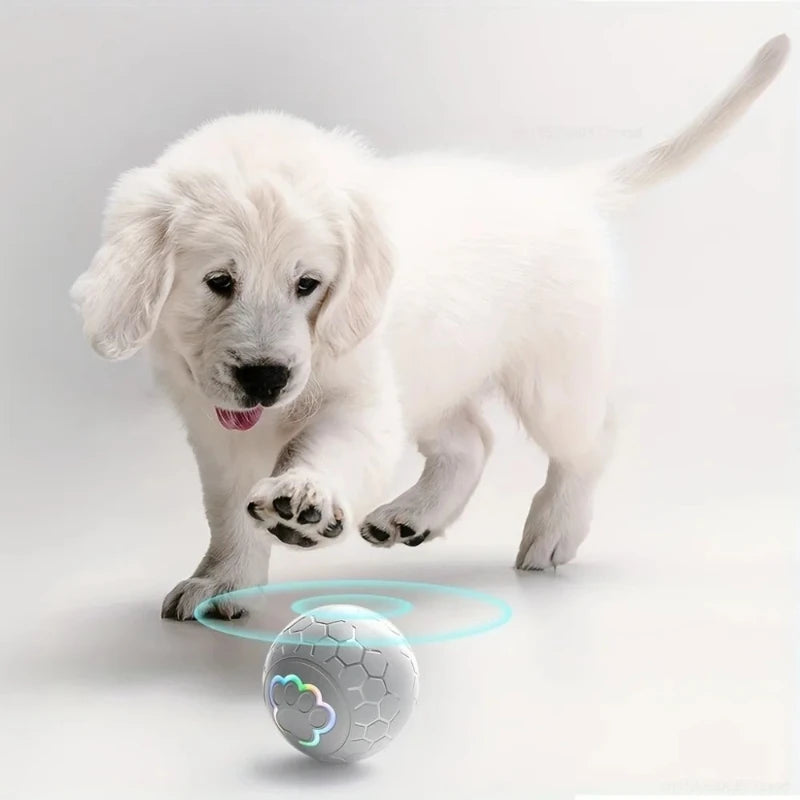 Smart Interactive Bouncing Pet Toy Ball