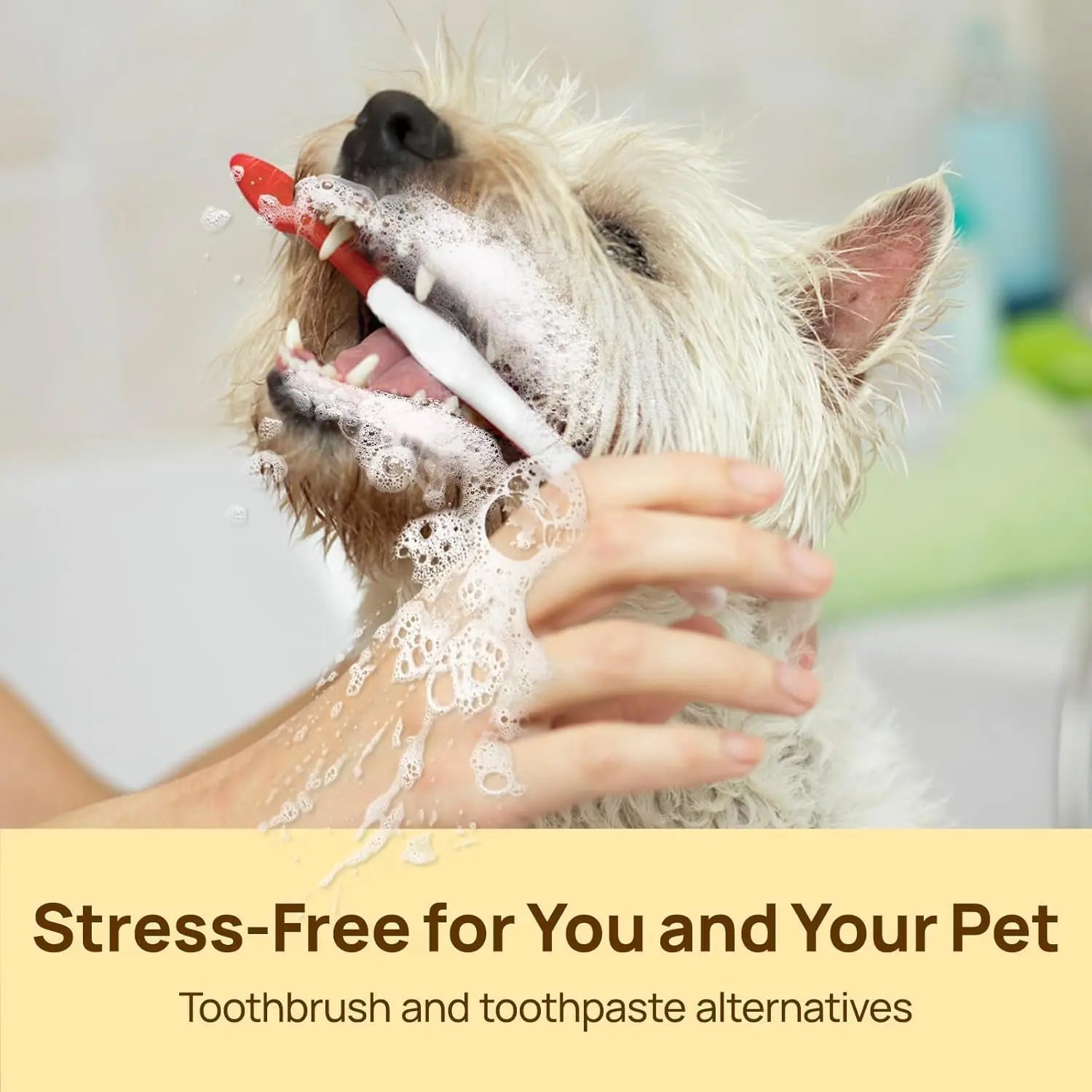 Fresh Breath Dental Wipes for Pets
