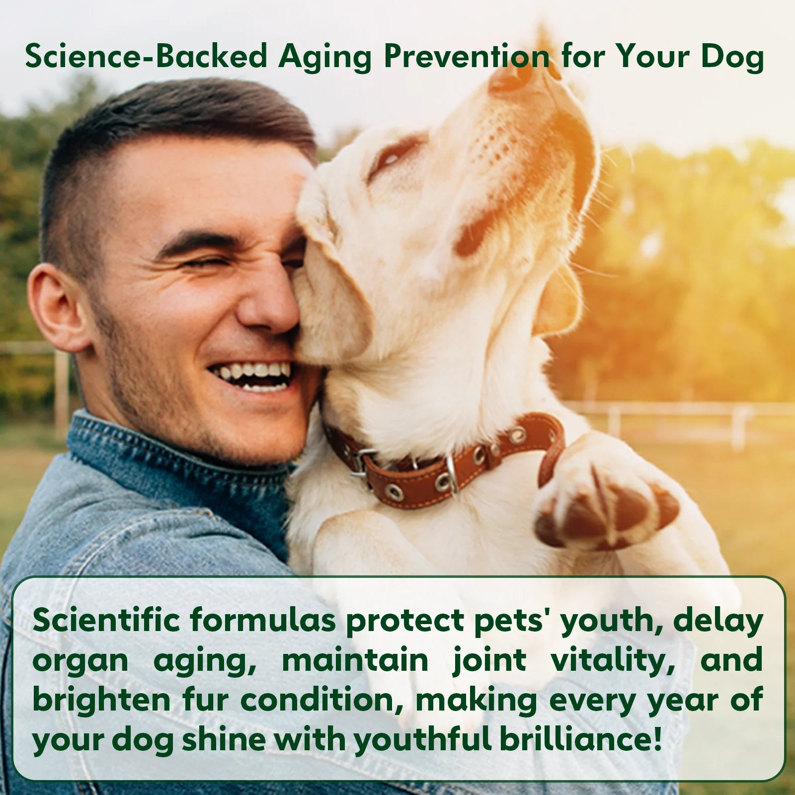 NUTRIDOG Dog Anti-Allergy Chews