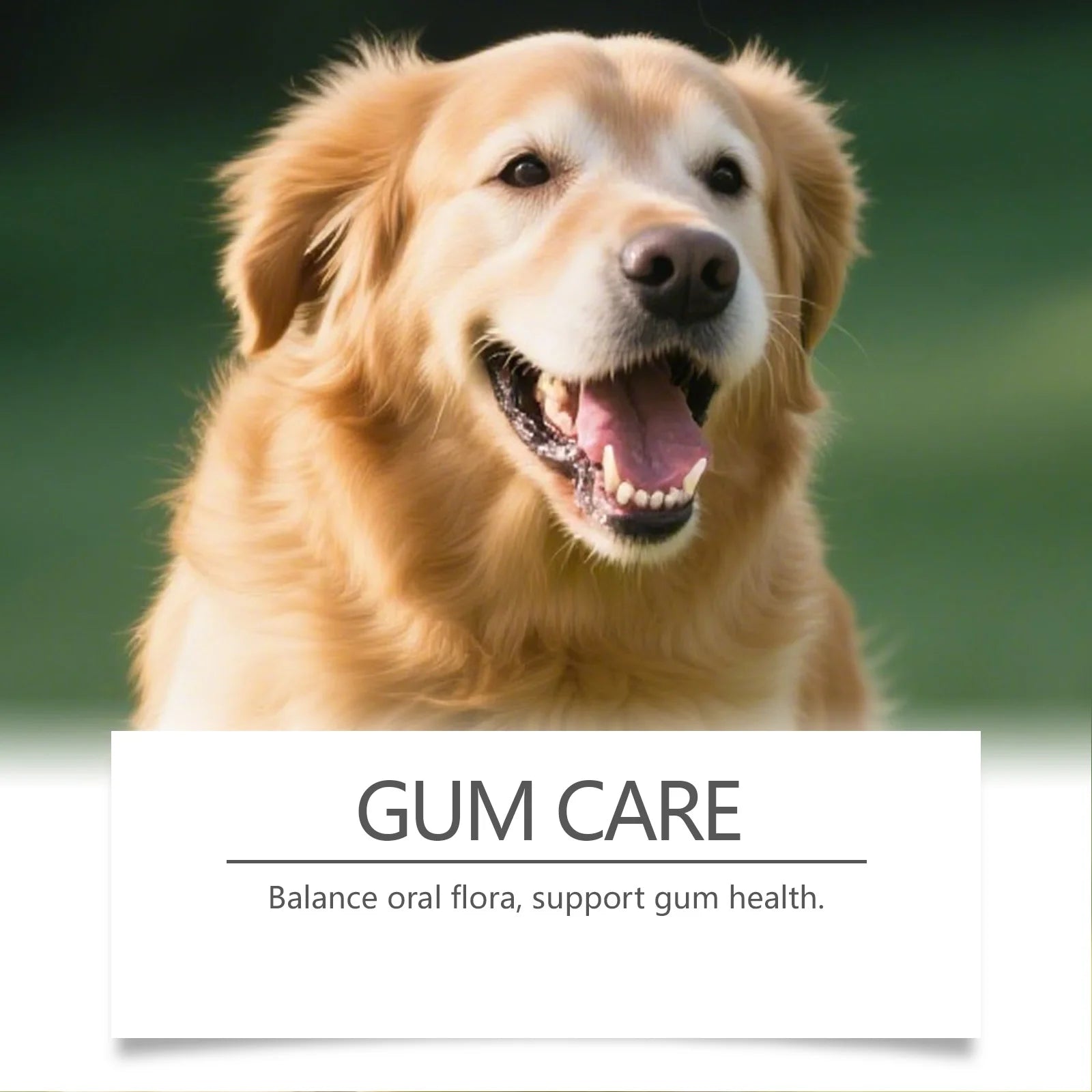 Fresh Breath & Complete Oral Care for Dogs & Cats