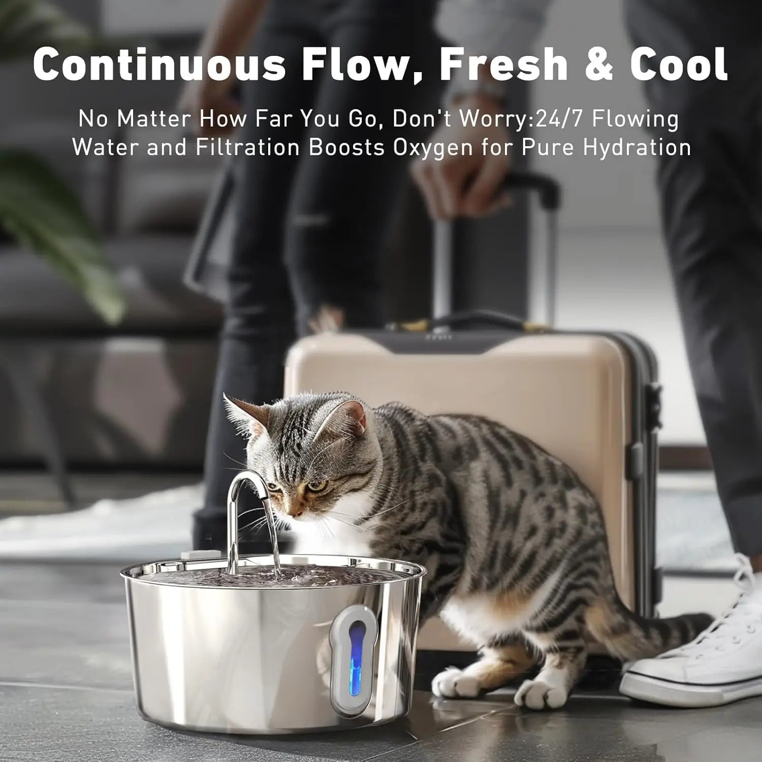 Stainless Steel Pet Water Fountain 4L