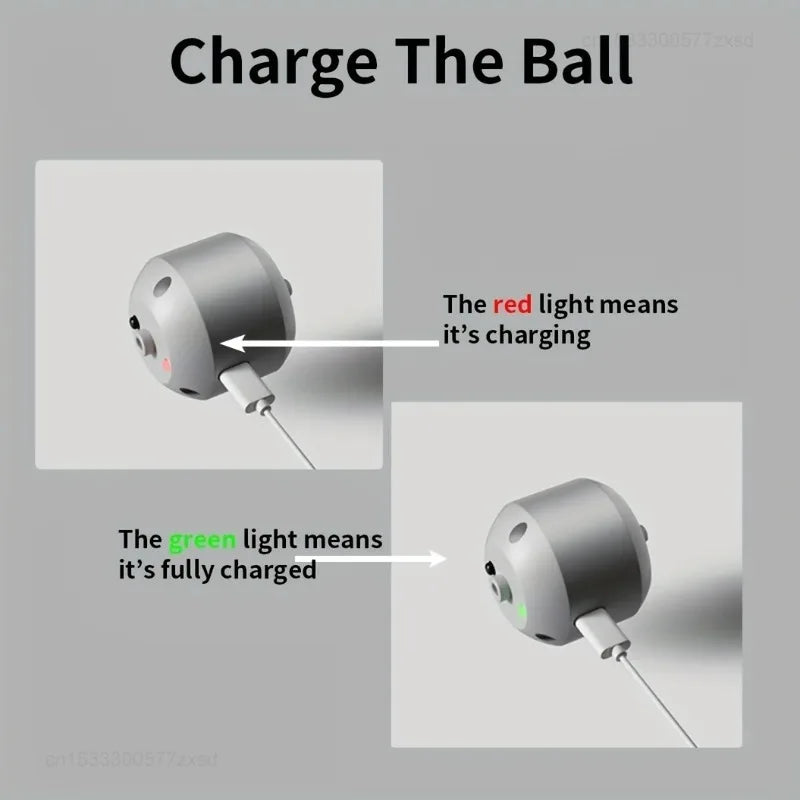 Smart Interactive Bouncing Pet Toy Ball