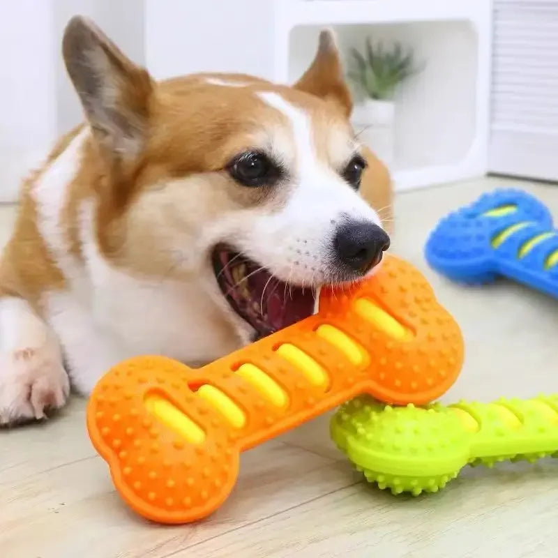 Durable Rubber Dog Chew Toy – Interactive Squeaky Bone