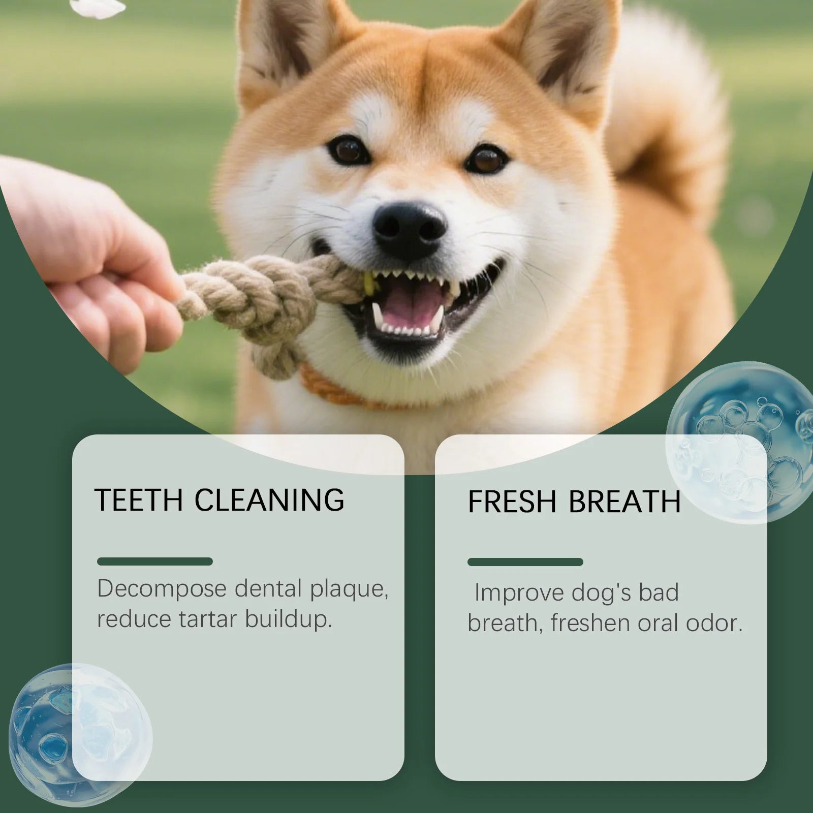 Fresh Breath & Complete Oral Care for Dogs & Cats