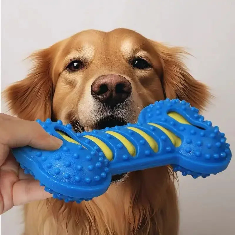 Durable Rubber Dog Chew Toy – Interactive Squeaky Bone