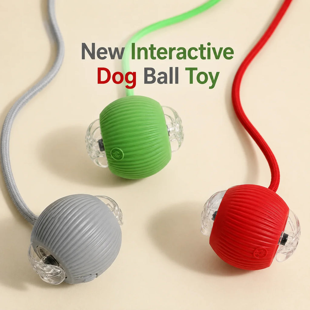 Smart Automatic Rolling Dog Ball – Rechargeable Interactive Toy